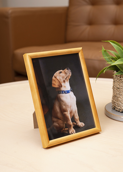 Hama PHOENIX - fotorámeček - Korek, 7x10, 10x15