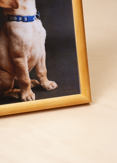 Hama PHOENIX - fotorámeček - Korek, 7x10, 10x15