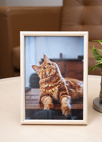 Hama PHOENIX - fotorámeček - Přírodní, 9x13, 13x18