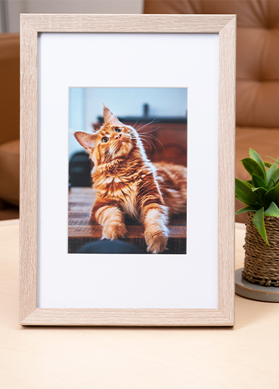 Hama OSLO - fotorámeček - Dub, 13x18, 20x30