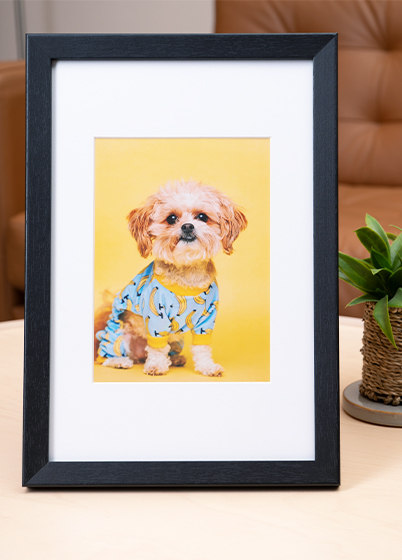 Hama OSLO - fotorámeček - Černá, 13x18, 20x30