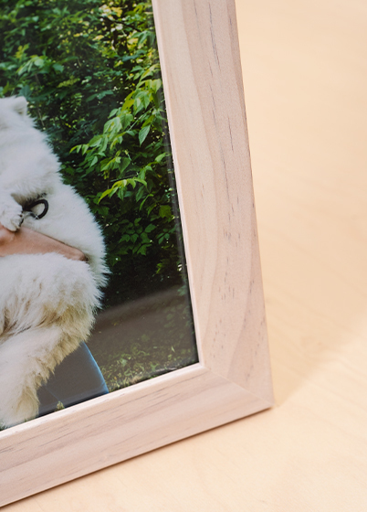 Hama SKARA - fotorámeček - Bříza, 9x13, 13x18