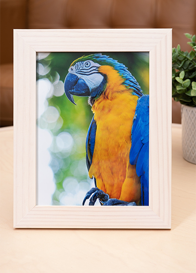 Hama SKARA - fotorámeček - Bříza, 10x15, 15x20