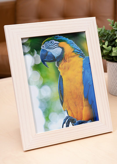 Hama SKARA - fotorámeček - Bříza, 10x15, 15x20