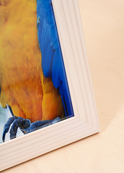 Hama SKARA - fotorámeček - Bříza, 10x15, 15x20