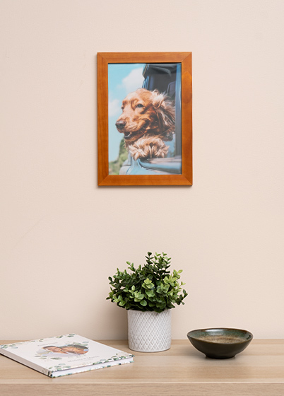 Hama SKARA - fotorámeček - Ořech, 13x18, 20x30