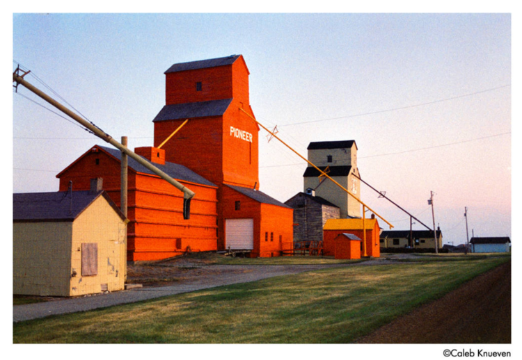 HARMAN Phoenix II 200 135/36 - barevný kinofilm