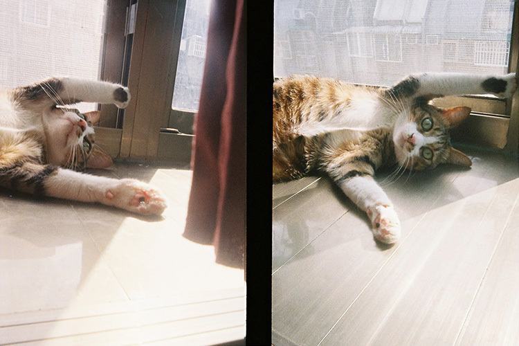 Kodak Ektar H35 - černý