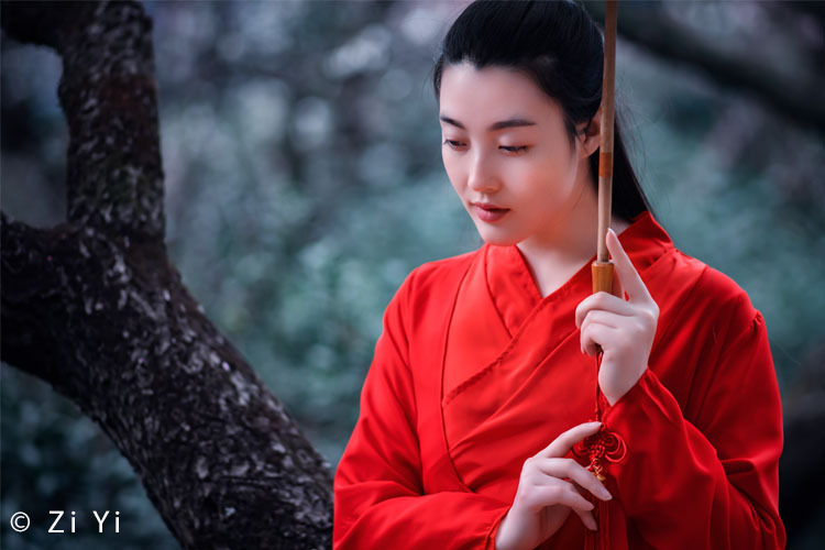 Laowa 100mm f/2.8 2x Ultra Macro APO (Nikon)