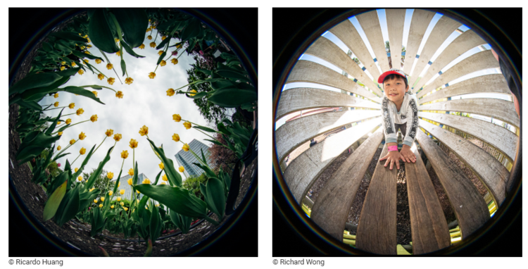 Laowa 4mm f/2.8 Fisheye (Nikon Z)