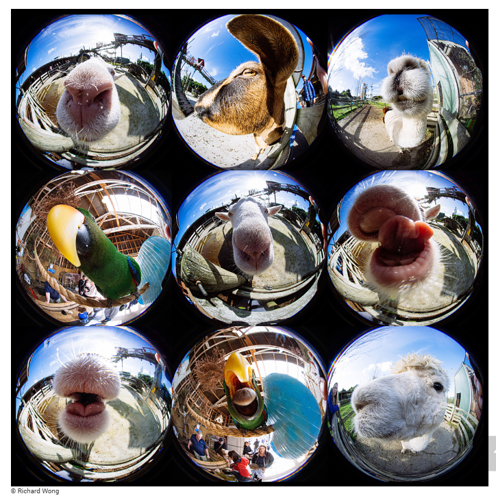 Laowa 4mm f/2.8 Fisheye (Nikon Z)