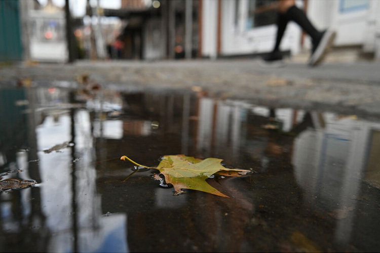 Nikon NIKKOR Z 26mm f/2.8