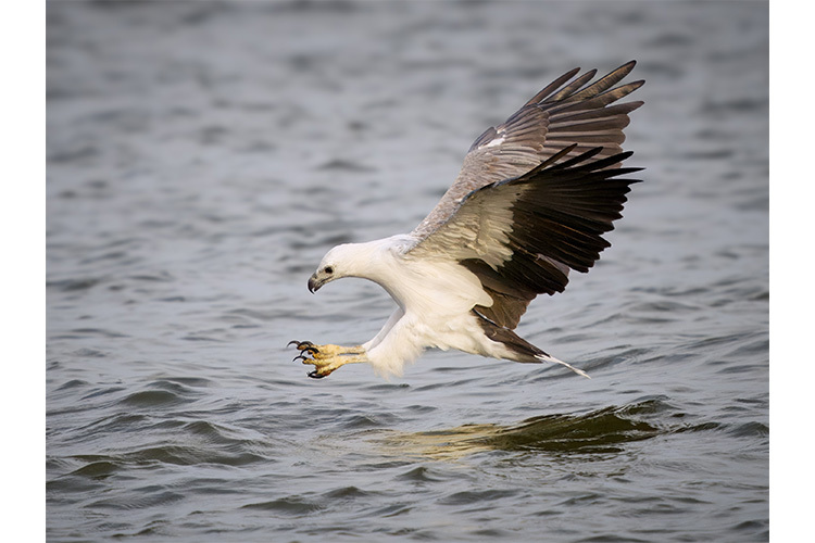 OM System OM-1 Mark II - tělo