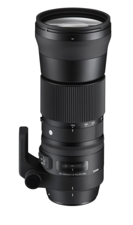 Sigma 150-600mm f/5-6.3 DG OS HSM Contemporary (Nikon)