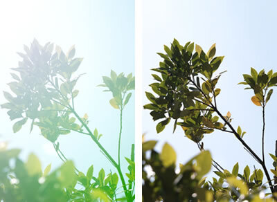 Sigma 16mm f/1.4 DC DN Contemporary (Sony E)