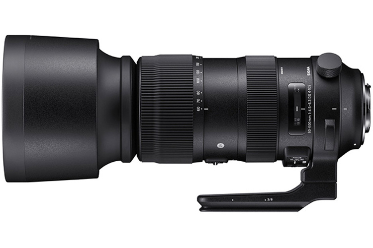 Sigma 60-600mm f/4.5-6.3 DG OS HSM Sports (Canon)