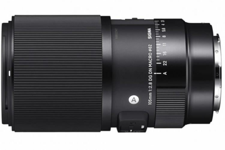 Sigma 105mm F2.8 DG DN MACRO Art (Sony E)