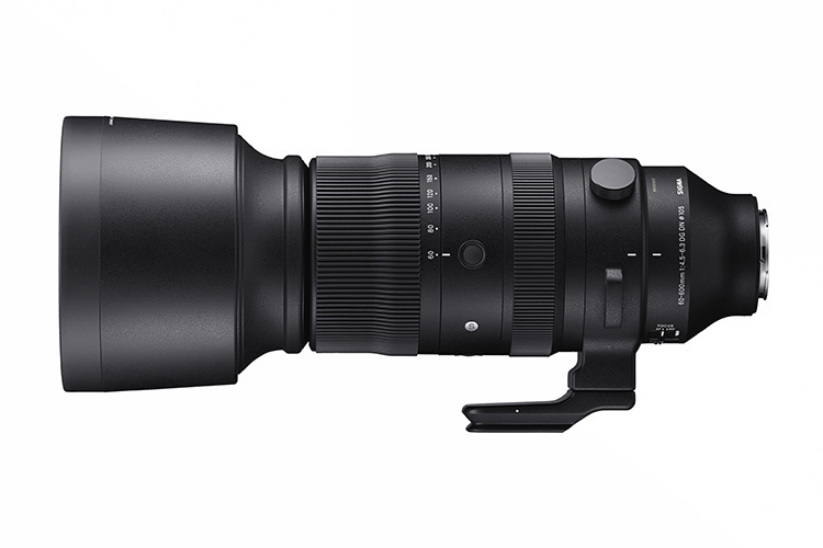 Sigma 60-600mm f/4.5-6.3 DG DN OS Sports (Sony E)