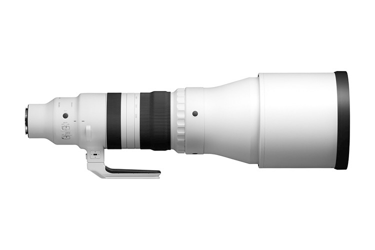 Sigma 300-600mm f/4 DG OS Sports (Sony E)