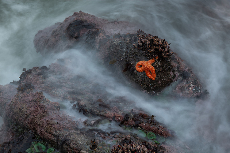 Sigma 28-105mm f/2.8 DG DN Art (Sony E)