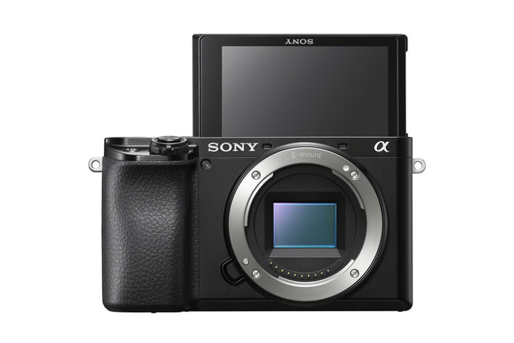Sony Alpha A6100 + 16-50mm + 55-210mm