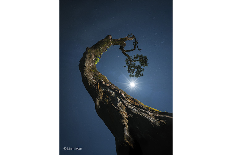 Sony FE 20-70mm f/4 G