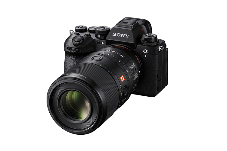 Sony FE 100mm f/2.8 Macro GM OSS