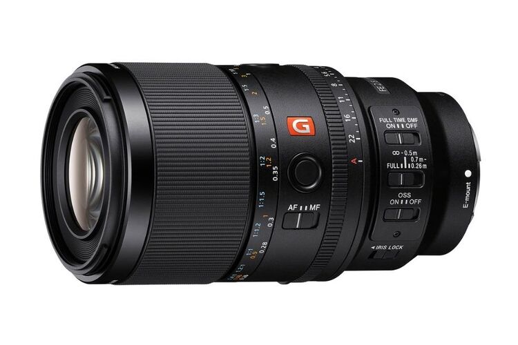 Sony FE 100mm f/2.8 Macro GM OSS