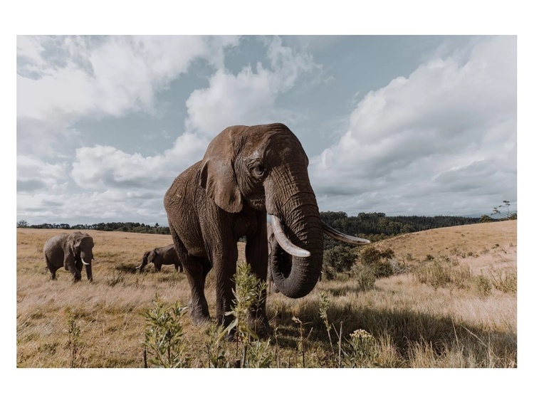 Tamron 11-20mm f/2.8 Di III-A RXD (Fujifilm)