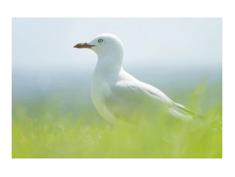 Tamron 28-300mm f/4-7.1 Di III VC VXD (Sony E)