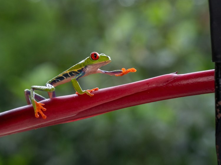 Tamron 90mm f/2.8 Di III Macro VXD (Sony E)