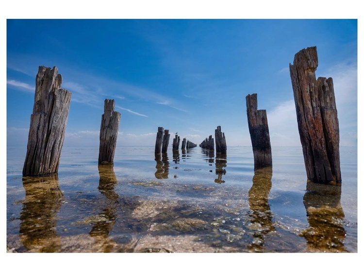 Tamron 11-20mm f/2.8 Di III-A RXD (Canon RF-S)