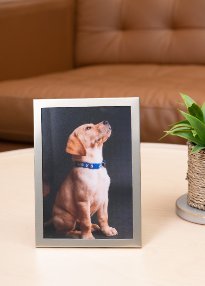 Tradag CHAMPAGNE - fotorámeček - Zlatá, 13x18