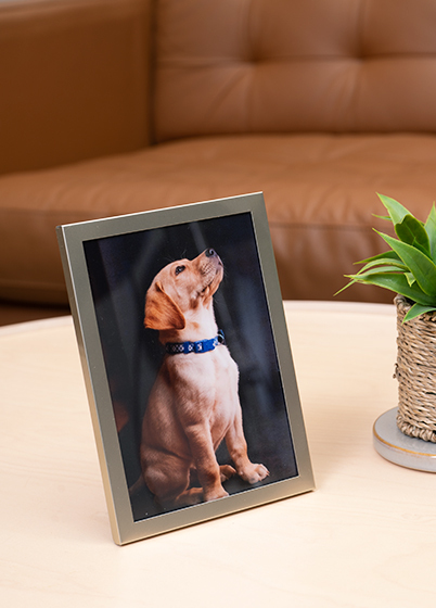 Tradag CHAMPAGNE - fotorámeček - Zlatá, 13x18