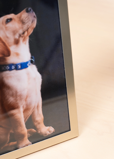 Tradag CHAMPAGNE - fotorámeček - Zlatá, 13x18