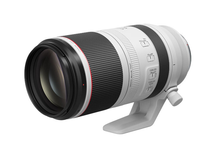 Canon RF 100-500mm f/4.5-7.1L IS USM