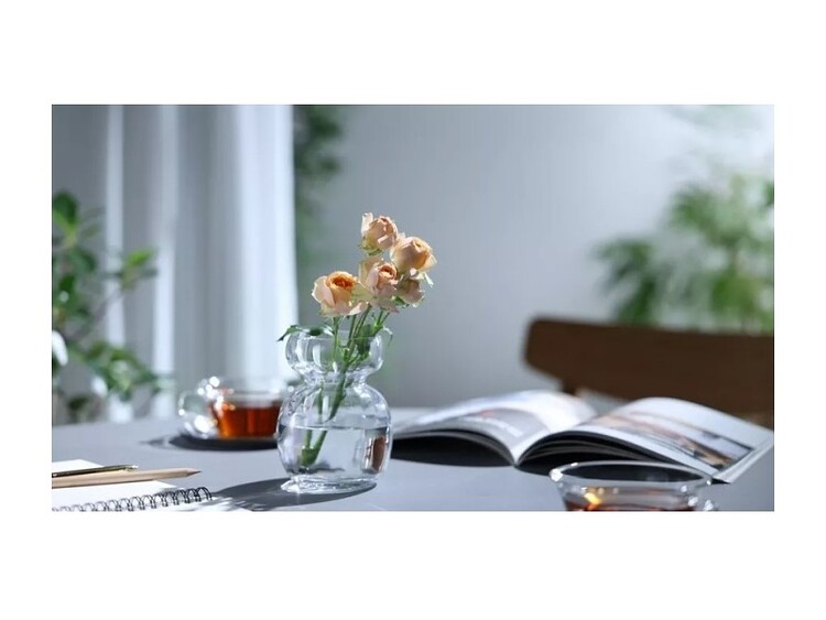 Canon RF 28-70mm f/2.8 IS STM