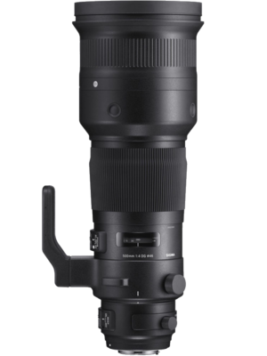 Sigma 500mm f/4 DG OS HSM Sport (Canon)