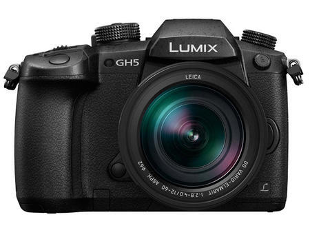 Panasonic Lumix DMC-GH5 + Leica DG Vario-Elmarit 12-60mm f/2.8-4