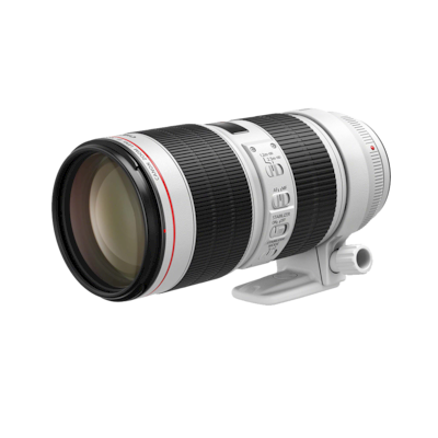 Canon EF 70-200mm f/2.8L IS III USM
