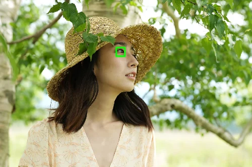 Automatické ostření na oči a sledování založené na umělé inteligenci