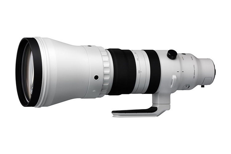 Sigma 300-600mm f/4 DG OS Sports (Sony E)